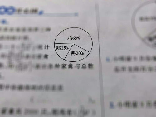 從統(tǒng)計(jì)圖中解讀票據(jù)信息咨詢服務(wù)的核心信息
